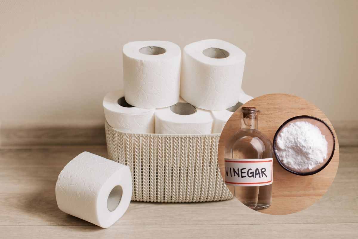 aceto e carta igienica, usali in bagno